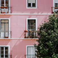 Programa públicos 1