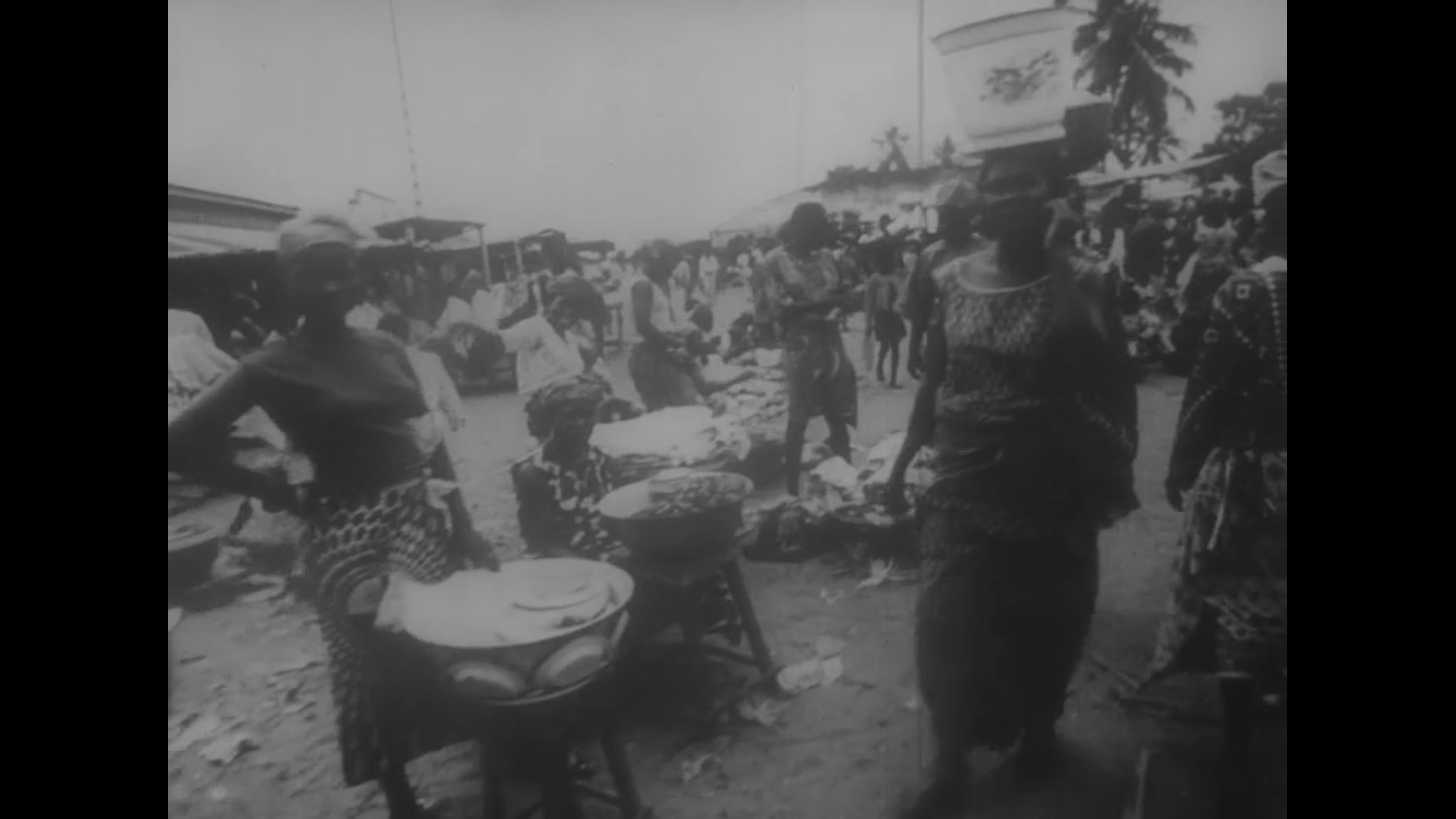 Africa la selva los tambores y la revolucion 