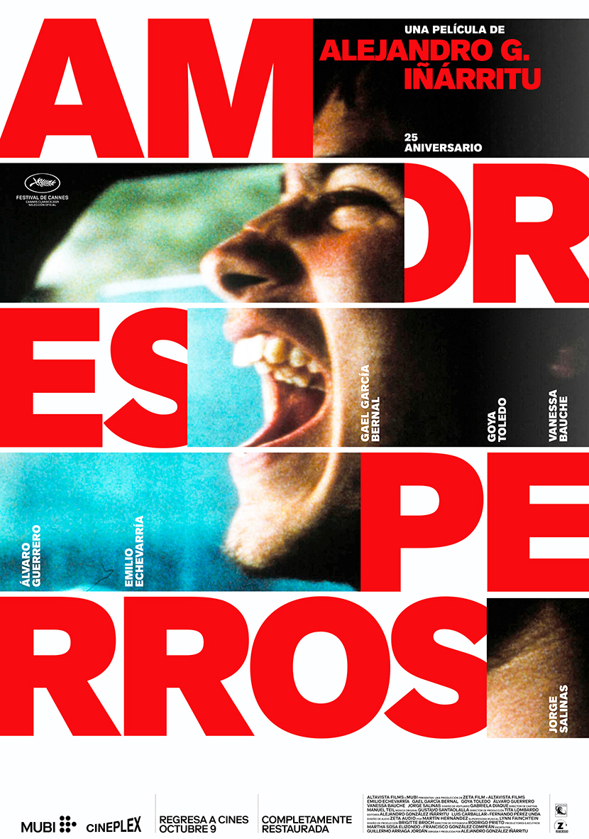 Amores perros poster