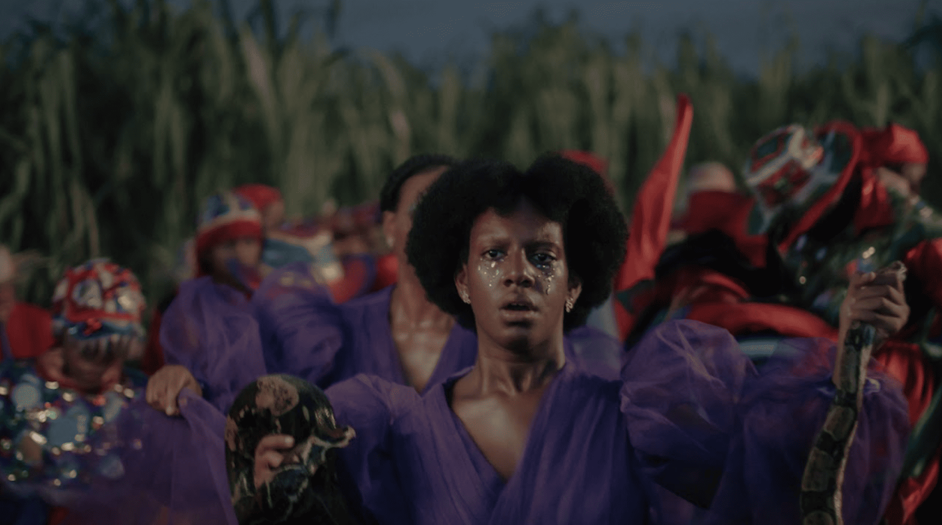 Sugar Island de Johanne Gómez Terrero