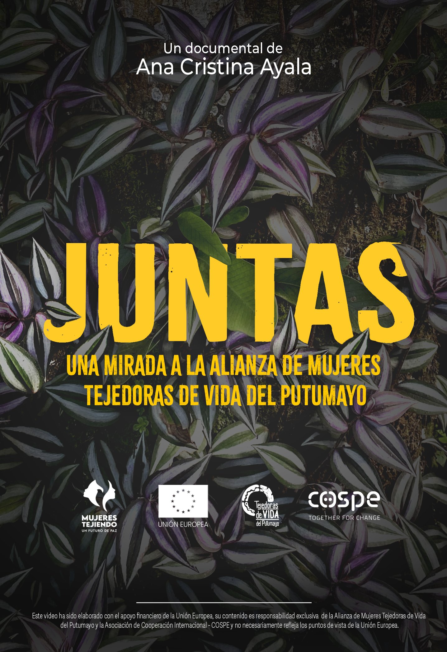 Poster Película Juntas