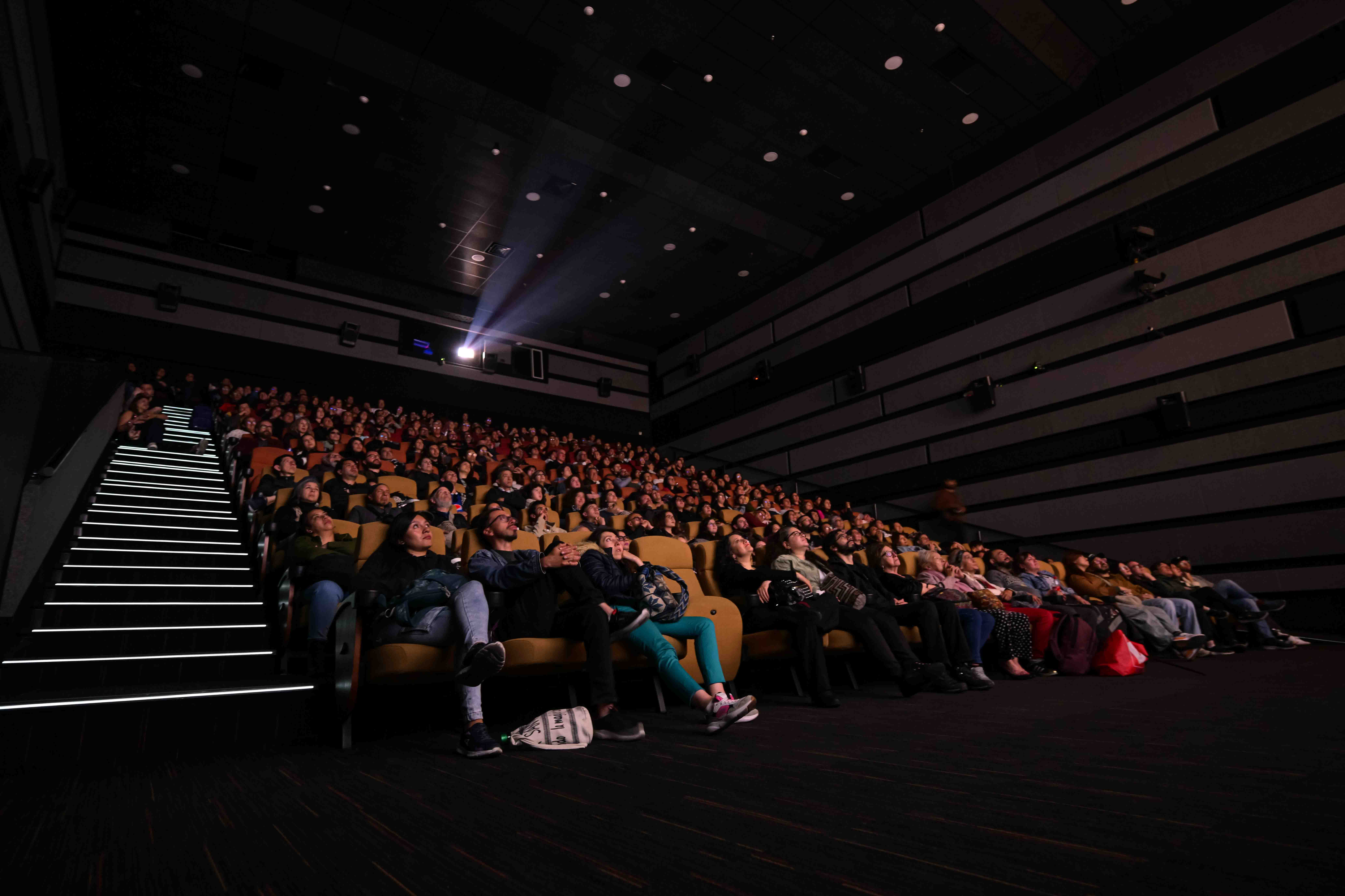 Congreso Distrital de Artes Audiovisuales