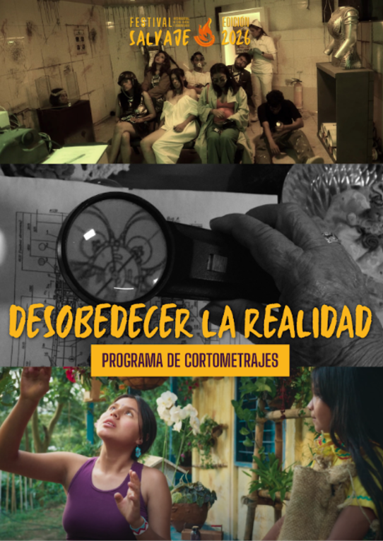 Festival SALVAJE