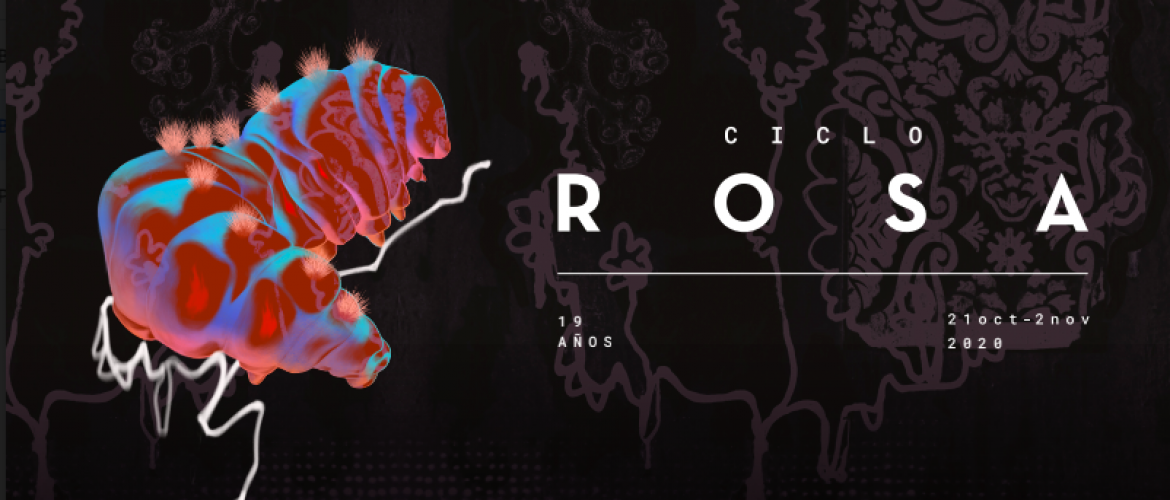 ciclo rosa Cinemateca de Bogotá