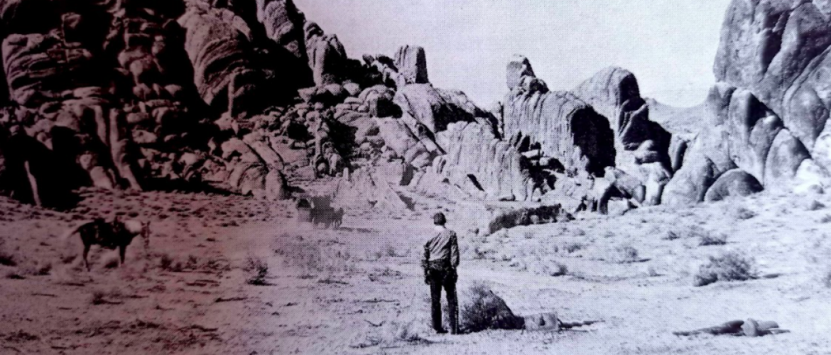 Vaquero en desierto 
