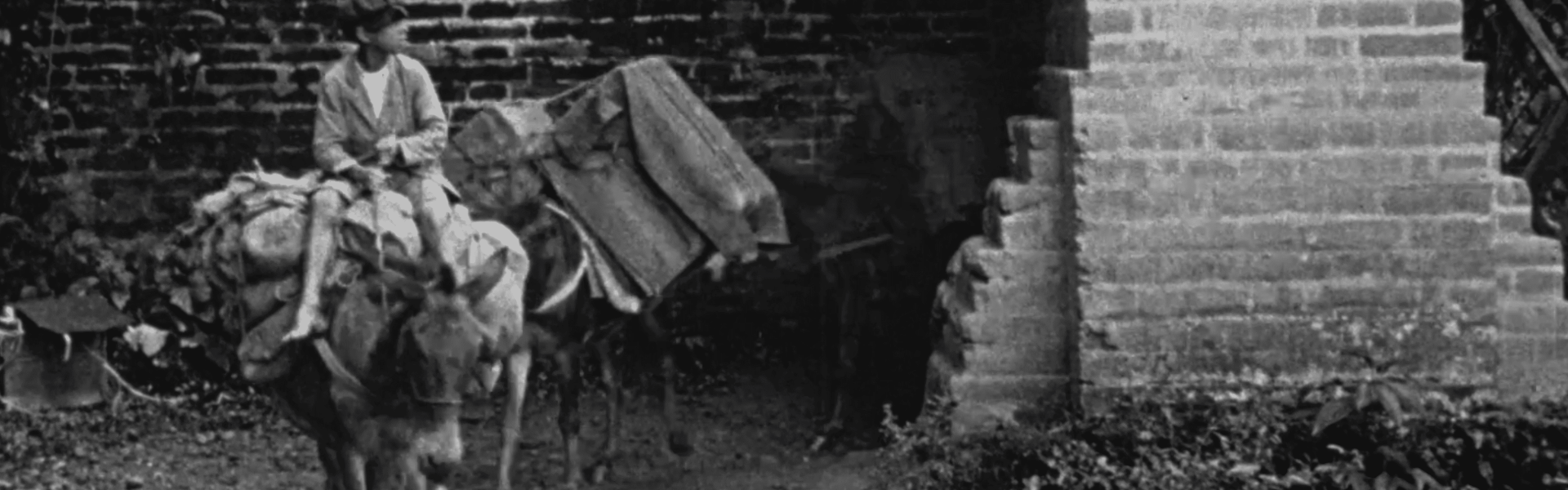 Madre_Dir_Samuel Velásquez_1924