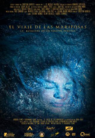 Afiche