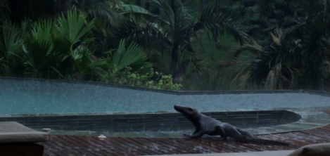 piscina