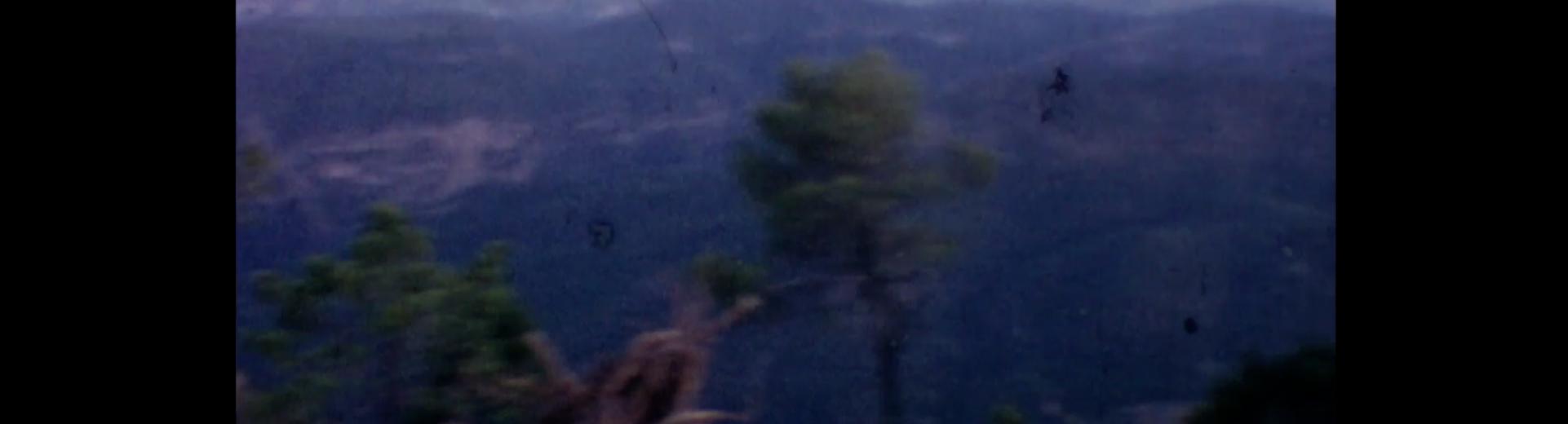 Imagen Cortometraje Carta de Paula