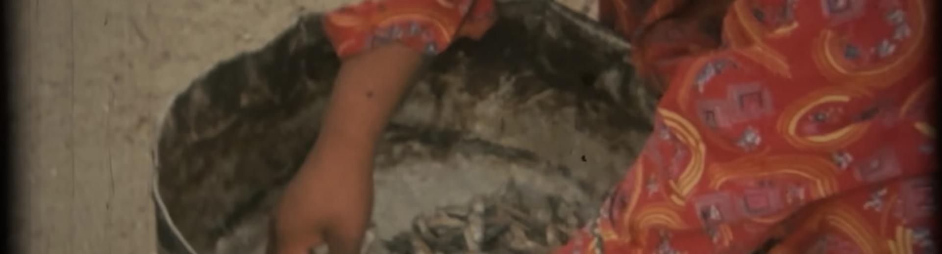 Reinventar el paisaje