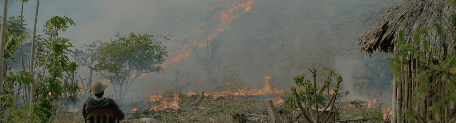 La Bonga ( Canela Reyes y Sebastián Pinzón, 2023)