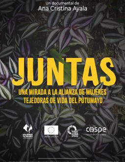 Poster Película Juntas