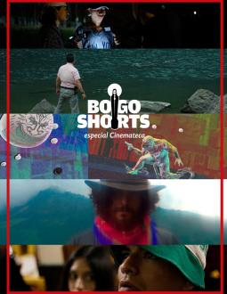 BOGOSHORTS Especial Cinemateca 112