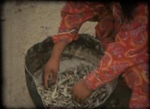 Reinventar el paisaje