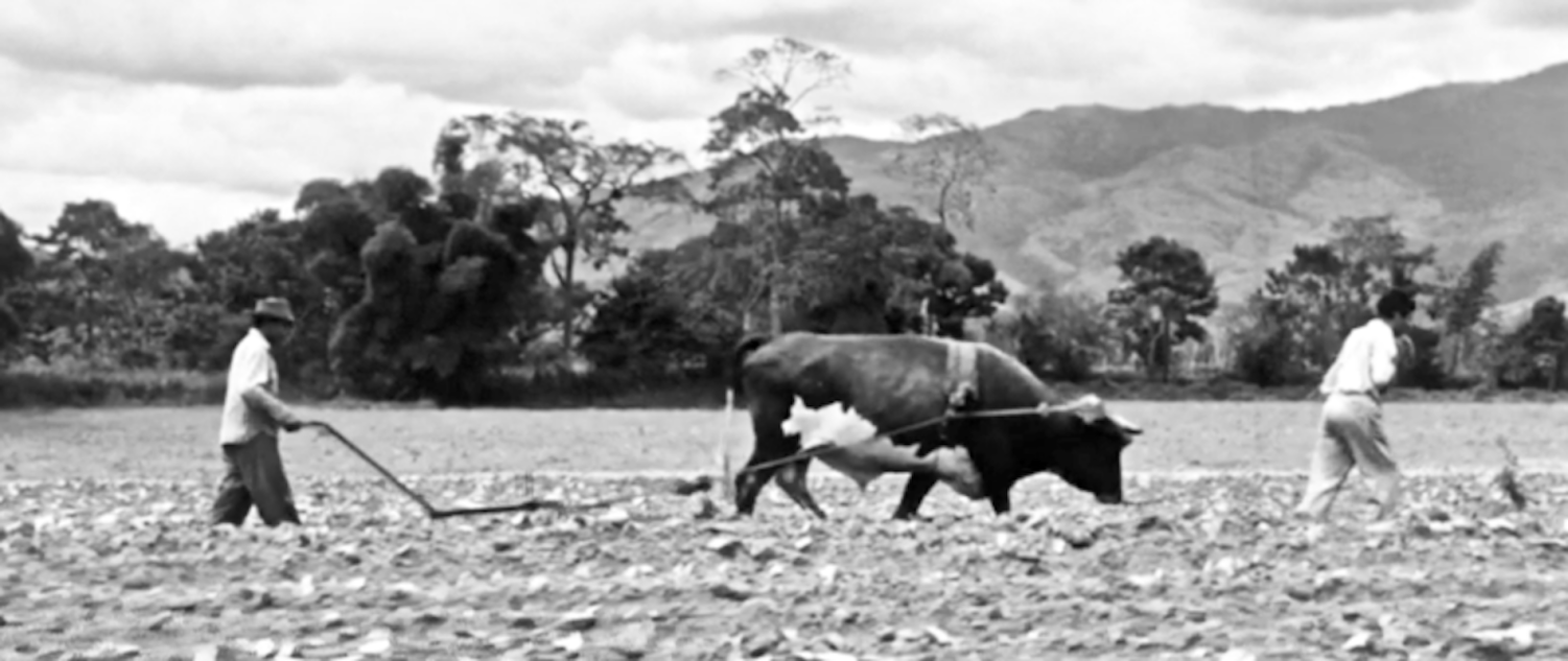 La paga (Dir. Ciro Durán, 1962) Colombia, Venezuela.