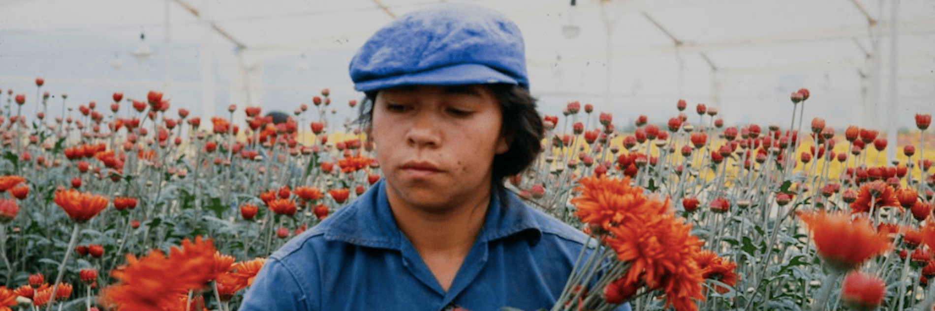 Amor, mujeres y flores