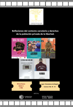 Perspectivas del contexto carcelario