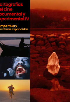 Narrativas expandidas