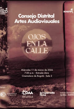 Poster Consejo Distrital de las Artes: Cortos Ojos en la calle 