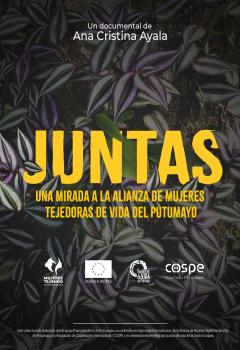 Poster Película Juntas