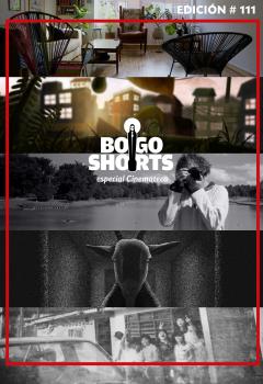 Poster Especial No 111