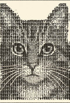 Gato ASCII