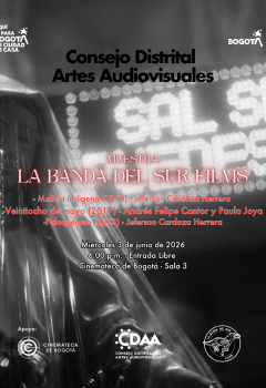 Poster Paloquemao