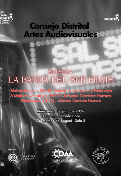 Poster La Bandan del Sur Fillms