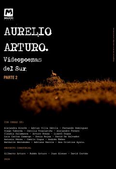 Poster VIDEOPOEMAS DEL SUR Parte 2